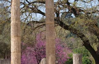 Olympia House Dionisos and Dimitra II - Foto 19