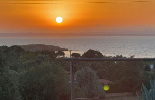 Zeus kır evi - Photo 59