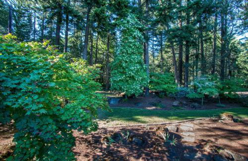 Eye On The Gorge - Foto 31