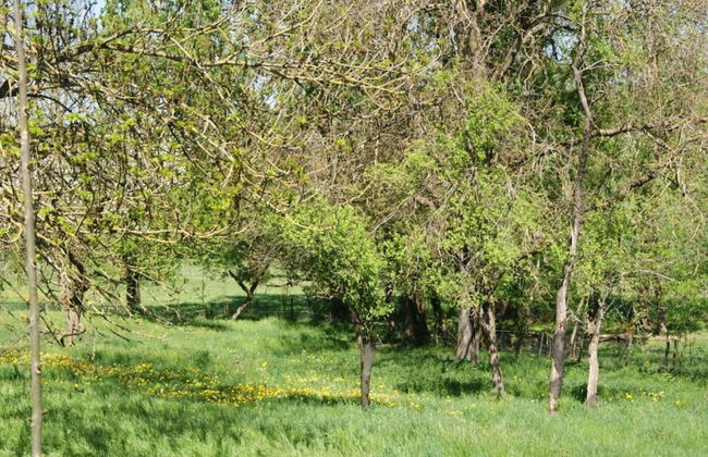 Wintersbourg Spa Retreat - Foto 39