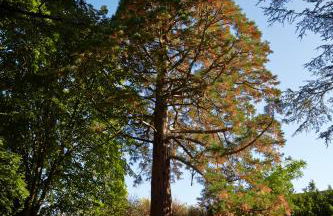 Manoir de Puyval - Foto 23