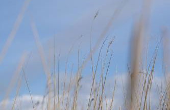 Haus Waterblick - Foto 19