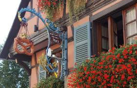 Fleur de Vigne - Foto 31