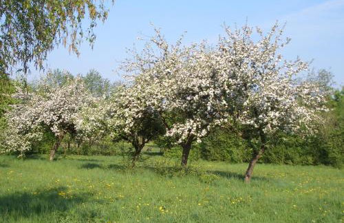 Lindenhof Hahn - Foto 16