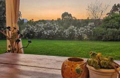 Green House - Foto 13