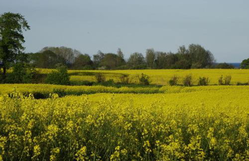 Apartment Geltinger Bucht by Interhome - Foto 34