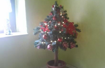 Taurasteinblick - Foto 15