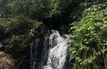 Casa Petar Betari - Foto 62