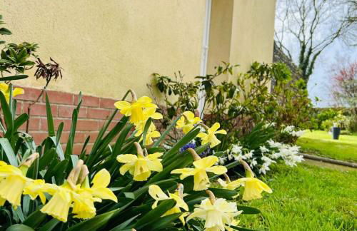 Le Gîte d’en Bas-St Valery à 15min-Équipement bébé - Foto 45