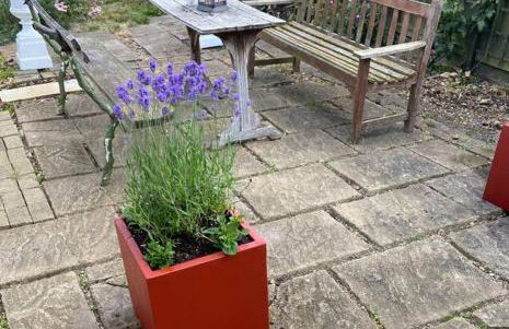 Field Cottage - Foto 33