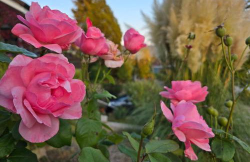 Ferienwohnung Fornsbachblick - Foto 16
