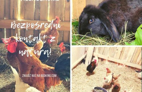 Agroturystyka Kaszuby Villagehome - Foto 7