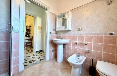 Orchid House - Foto 24