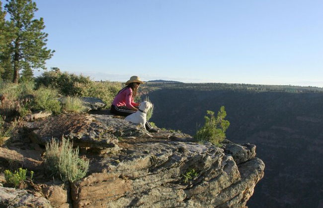 Red Canyon Lodge - Foto 45