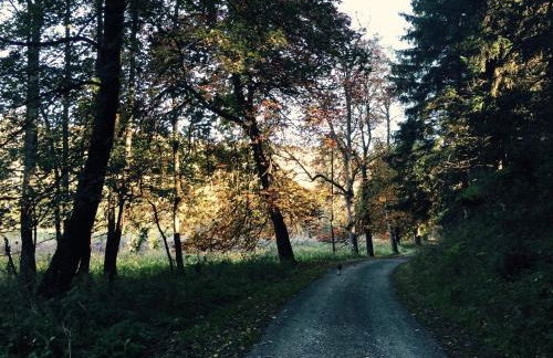 Ferienhaus am Hahnenkopf - Foto 20