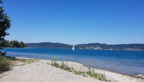 Historisches Fachwerkhaus "Hoher Hirschen" mit romantischem Hof und Garten - Charmantes Studio und grosses, museales Apartment - Foto 5