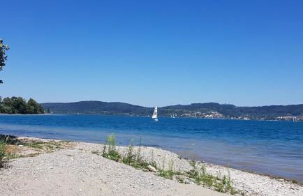 Historisches Fachwerkhaus "Hoher Hirschen" mit romantischem Hof und Garten - Charmantes Studio und grosses, museales Apartment - Foto 5