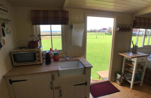 The Rowan Shepherds Hut - Photo 3