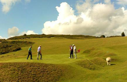 The Barn at Titley - Foto 21