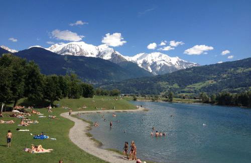 Fizhome Mt Blanc - Photo 12