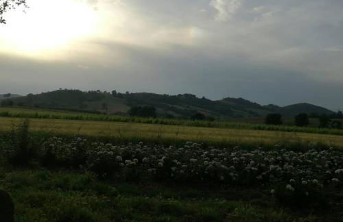 Agriturismo cavallin del papa - Foto 21