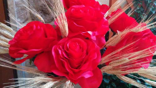 Casa Delle Rose - Foto 4