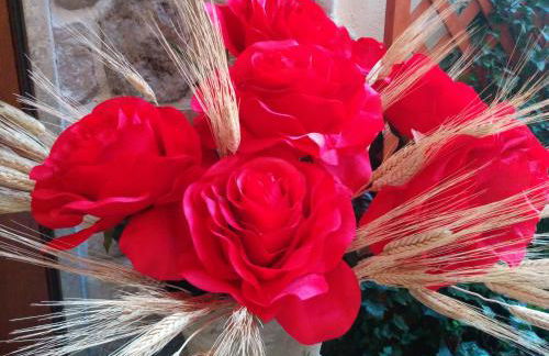 Casa Delle Rose - Foto 4