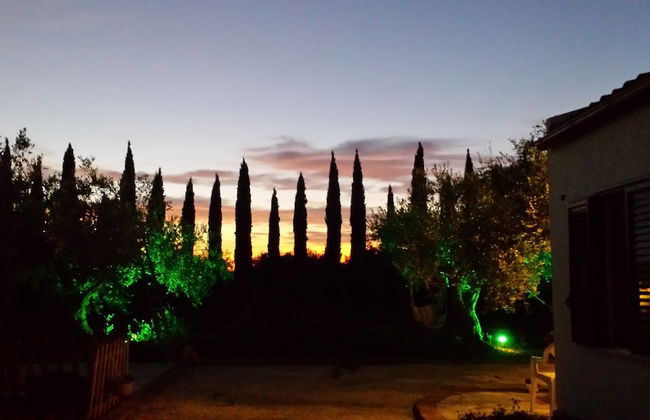 Agrisicilia - Foto 43