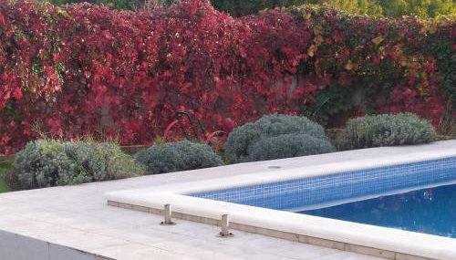 Kuća za odmor Silvano - Foto 4