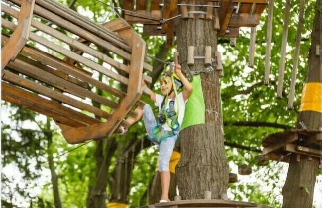 Au Coin des Vins - Foto 52