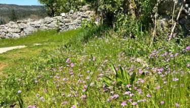 Casa de Miguel Chôco - Foto 5