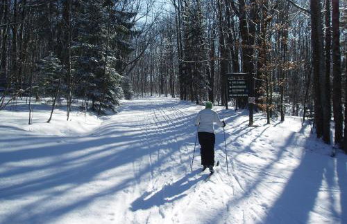 Pet friendly with Fireplace, Near Kasoag Snow Trail - Foto 26