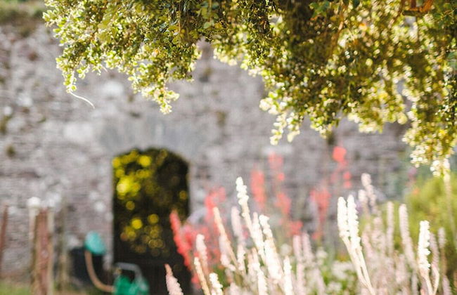 Ballyvolane House - Photo 57