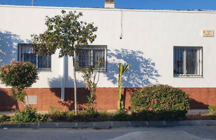 Can Carles - Delta del Ebro - Foto 65