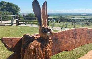 SAUNTON SUNSHINE COTTAGE 3 Bedrooms - Foto 38