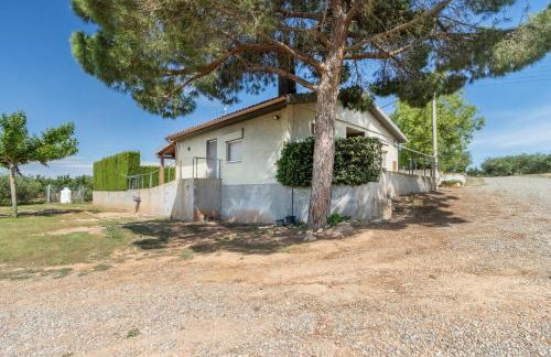 Mas de l' Anneta - Foto 23