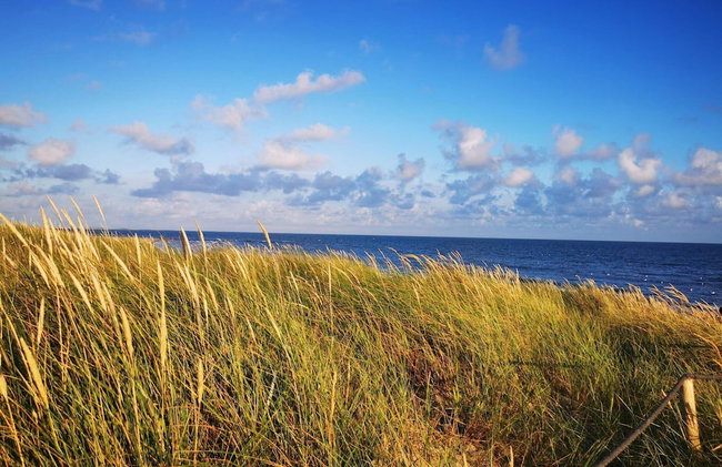 4 Star Holiday Home in Blavand - Foto 32