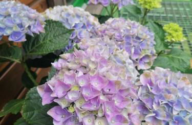 Weidmannsruh Natur pur - exklusives Tiny house - Foto 22