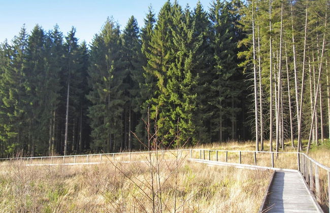 Apartment in Eifel With Terrace and Nature - Photo 17