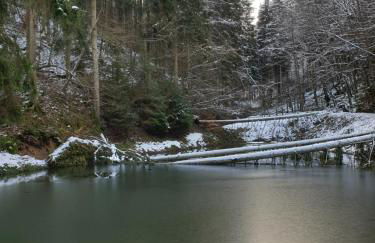 Ferienhaus Johann - Foto 7