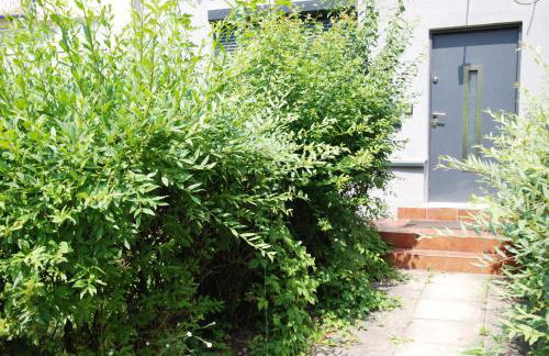 Kryjówka Męża - Foto 11