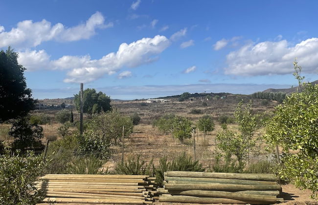 Wine country In Valle de Guadalupe - Foto 20