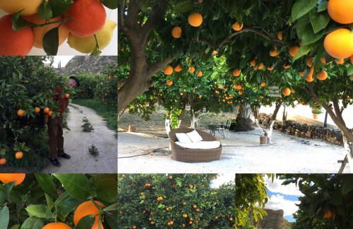 La Joya del Valle de Ricote - Foto 36