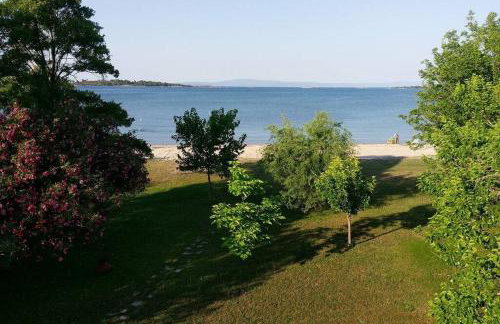Bright, Beachfront Apartment with free parking and garden - Photo 13