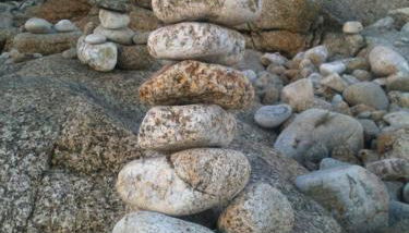 Les jardins du vivier - Foto 2