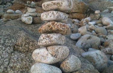 Les jardins du vivier - Foto 2