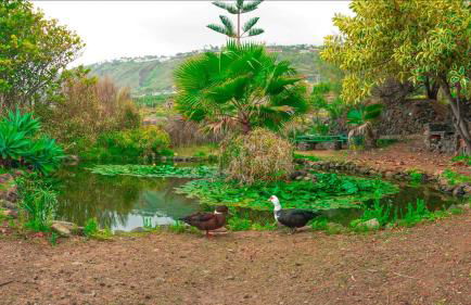 Apartments Finca El Rincón - Foto 11