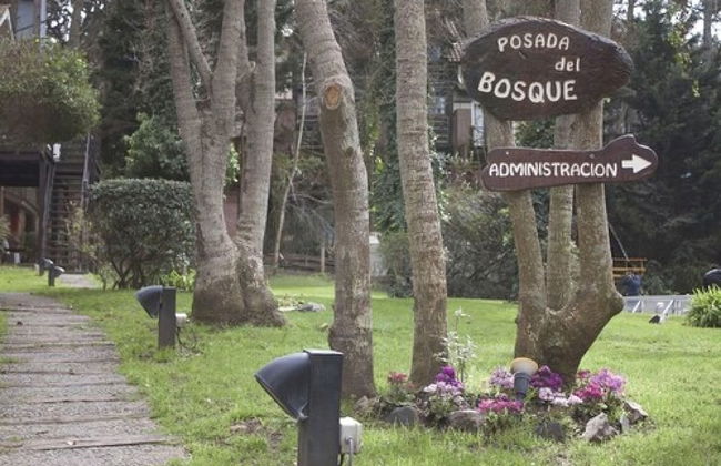 Posada Del Bosque Cariló - Photo 22