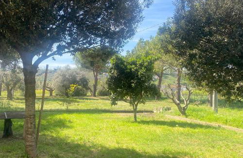 Adamasseria - Foto 13