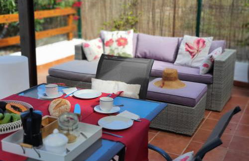 Viña Camello - Foto 15